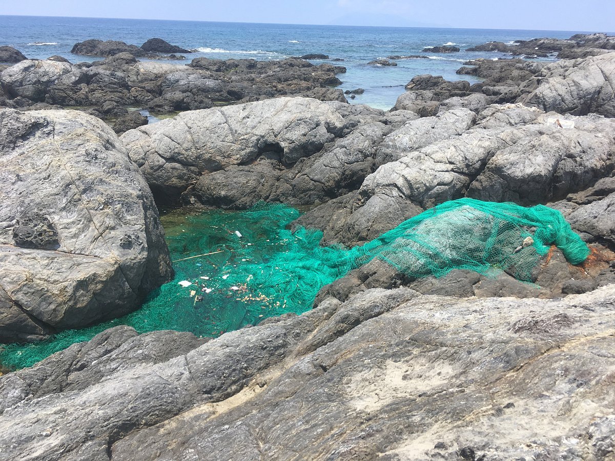 🏖️ 시로사키 해수욕장 이미지 4
